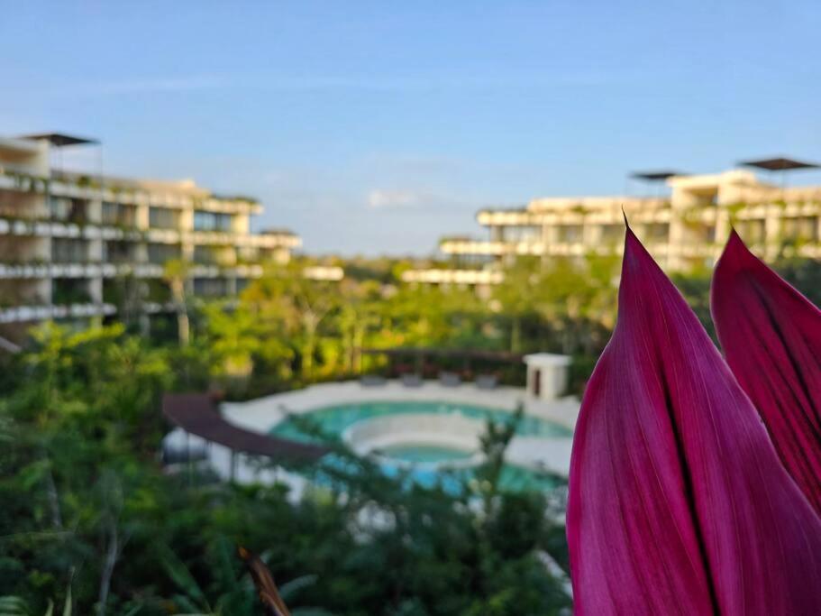 Cozy Aparment Pool View Apartment